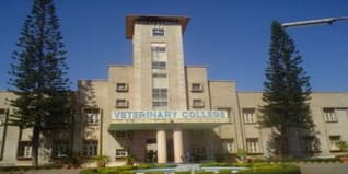 Veterinary College Bangalore Admission 2024: Courses, Fees, Eligibility